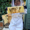 Bees and Refugees