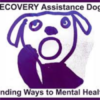 RECOVERY Assistance Dogs avatar image