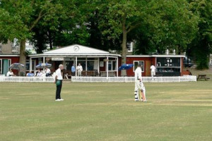Help Kew Cricket Club during COVID-19