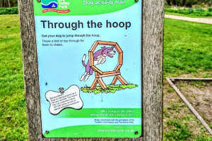 through-the-hoop.jpg - Dogs Improve Wellbeing