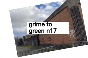 screenshot-2021-01-29-at-01-35-17.png - Grime to Green N17