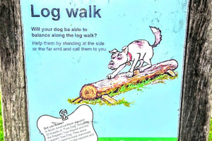 log-walk.jpg - Dogs Improve Wellbeing