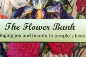 img-0261.jpg - The Flower Bank Hub