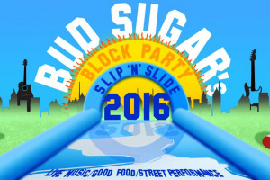 1.jpg - Bud Sugar Giant Slip and Slide