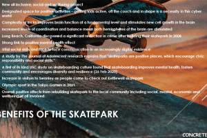 screenshot-25.png - Swanley Skatepark - Nippers Miniramp