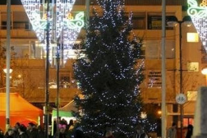 Tree.jpg - Light Up Harlow Town Centre