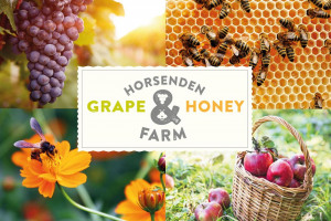 horsenden-grape-and-honey-farm-01.jpeg - Horsenden  Grape and Honey Farm