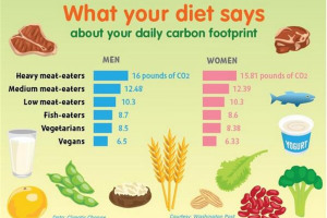 carbon-footprint-graph.jpg - Plant Eatery Farm to Market