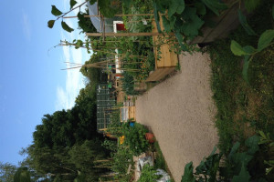 goodpaths.jpg - Safe paths for Clapham community garden