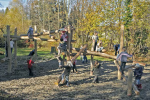 timberplay-image-2.png - Revivify Manor Park! Our New Playground