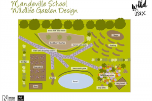 mandeville-school-garden-mock-up.jpg - The Mandeville School Wildlife Garden