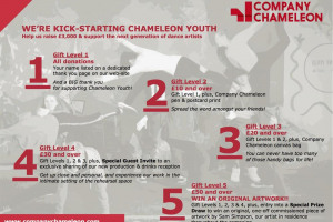 crowdfunding-campaign-gifts-copy.jpg - We're Kick-Starting Chameleon Youth