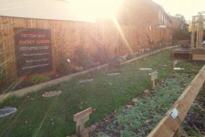 Tritton Vale Pocket Garden Goes Greener!