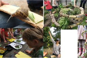 frends-spiral-2.png - Community Garden Outdoor Classroom
