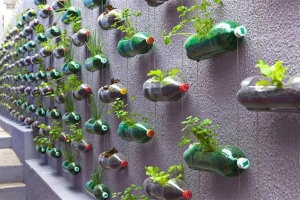 plastic-bottles-recycling-ideas-11.jpg - Litter-free Home with Creative-Recycling