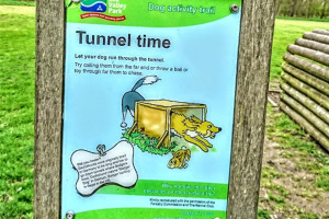 tunnel-time.jpg - Dogs Improve Wellbeing