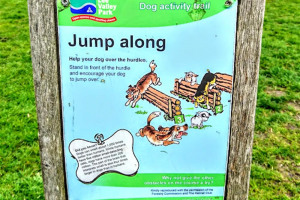 jump-along-2-jpg.jpg - Dogs Improve Wellbeing