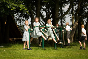 double-air-walker.jpg - Langley Green Primary School Outdoor Gym