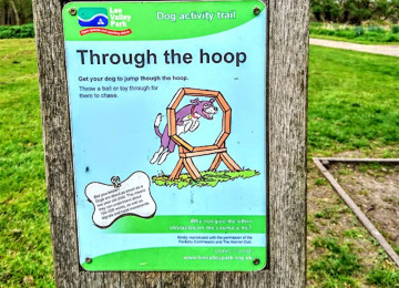 through-the-hoop.jpg