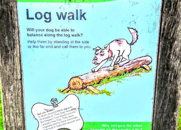 log-walk.jpg