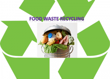 food-waste.png