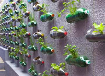 plastic-bottles-recycling-ideas-11.jpg