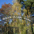 West Bank Park community gate locking