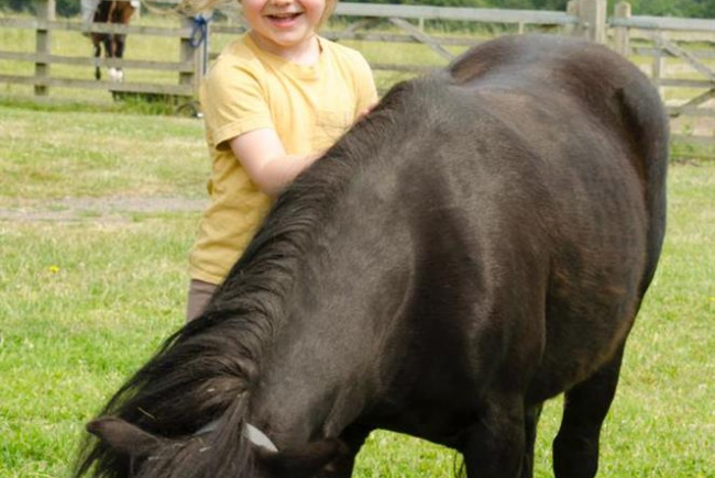 Transforming Lives with Equine Therapy