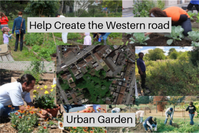 Western Road Urban Garden project