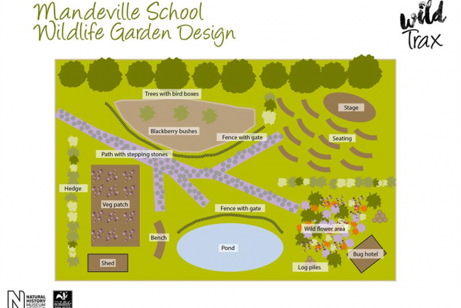 The Mandeville School Wildlife Garden