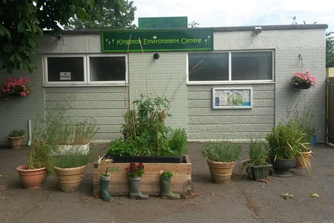Growing a community and wellbeing garden