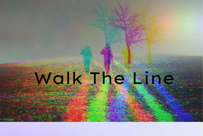  Walk The Line 