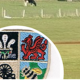 Bersham Cricket  Club- Funding for 2020 
