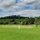 Uley Cricket Club needs your support.