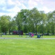 Tree and bulb planting on Clapham Common