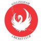 Gillingham CC - Improving Facilities
