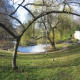 A Mini-Meadow for Telegraph Hill Park
