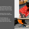 Help voluntary cat rescue in Redbridge