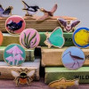 Bowland Champion Species Podcast