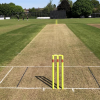 A Greener Barnards Green Cricket Club