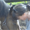Horses for Causes