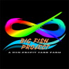 Big Fish Farm Community Interest Company
