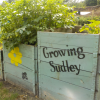 Growing Sudley CIC