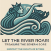 Let the River Roar! 