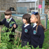 Acton Gardens Primary School