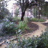 Friends of Hillside Park and Palace Road Nature Garden