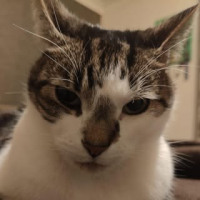 Sally Dowman avatar image