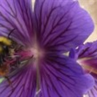 yLC4ZD#5mV ANkmxhXe1v avatar image