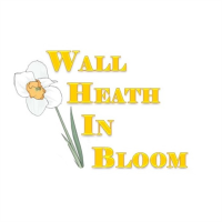 Wall Heath In Bloom avatar image