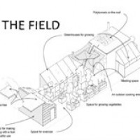 The Field avatar image